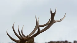 Illustration / Livin4wheel / Unsplash (CC0) 