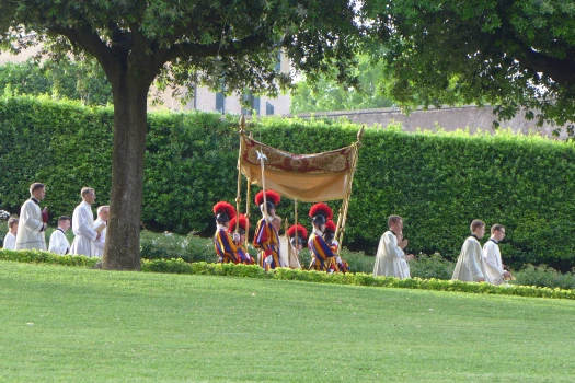 Schweizergardisten tragen den Baldachin bei der Prozession in den Vatikanischen Gärten am Fest des heiligsten Leibes und Blutes Christi. / EWTN.TV / Vatican Magazin / Paul Badde