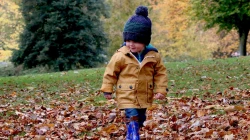 Warum empfanden diese Kindergarteneltern nun die Natur und das draußen sein als solch eine Gefahr? / Pixabay (CC0)