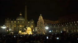 Der Petersplatz mit Christbaum und Krippe / CNA / Daniel Ibanez